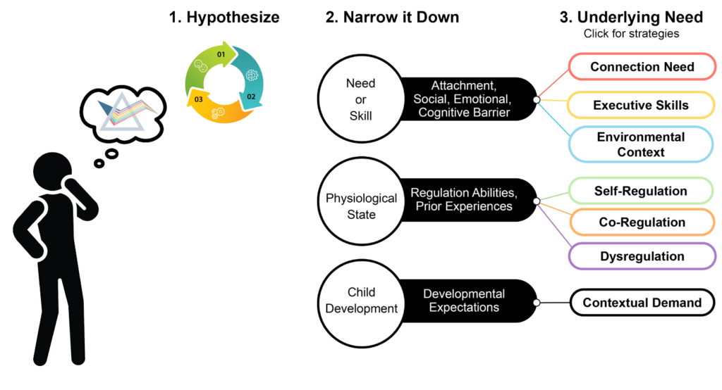 Hypothesize plan